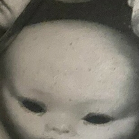 доллипасифика Голи