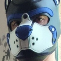 pupbuday Голи